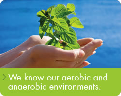 We know our aerobic and anaerobic environments.